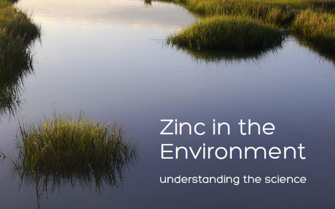 Zinc in the Environment: Understanding the Science