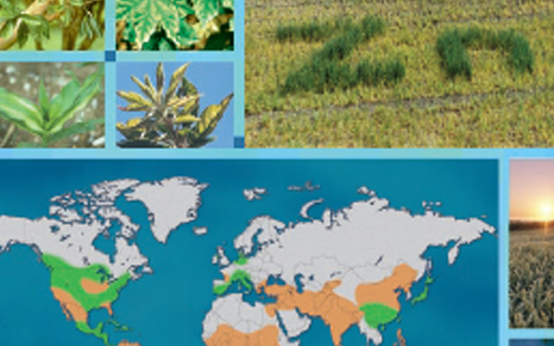 Publications ZINC. International Zinc Association