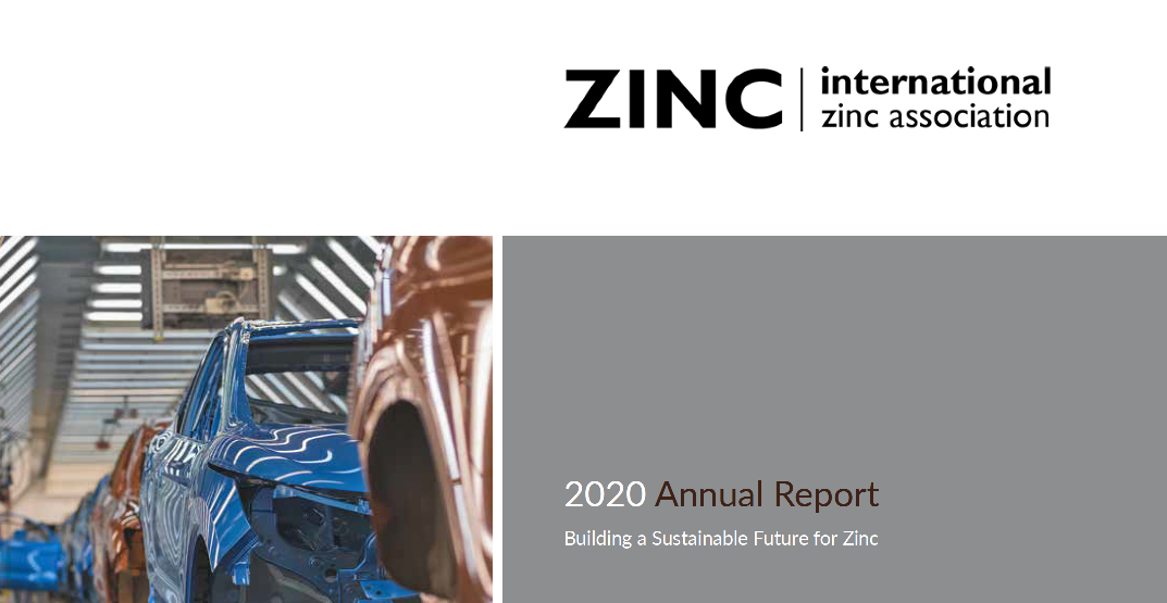 2020 IZA Annual Report