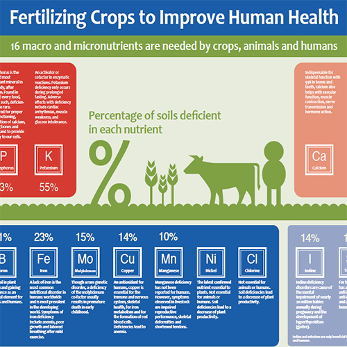 16 Nutrients Required for Healthy Crops