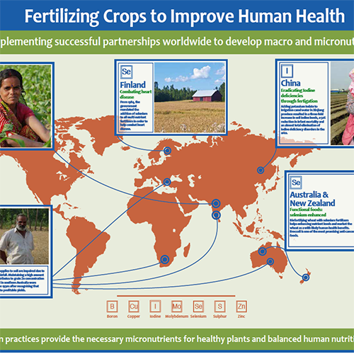 Countries Practicing Successful Fertilizer Use