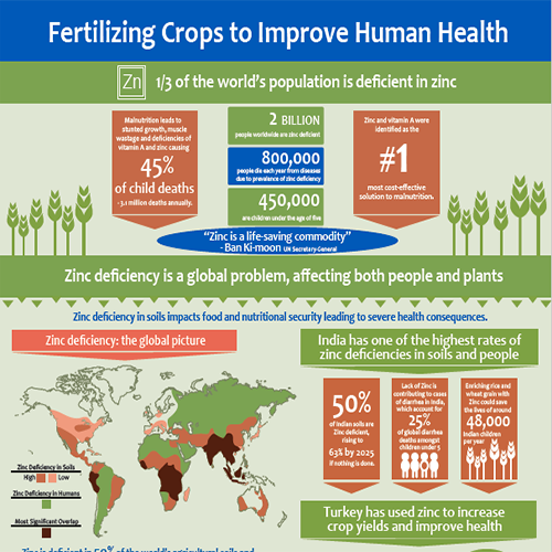 Zinc in Crops