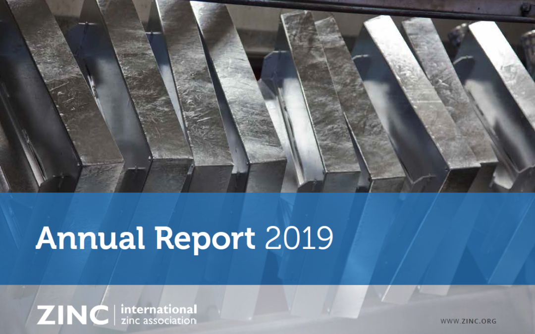2019 IZA Annual Report